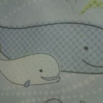 Sloth (USA-2) : 8-2-14